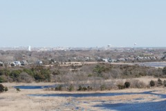 DSC_3363