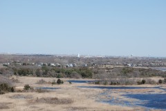 DSC_3387