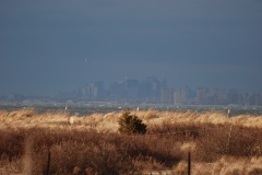 DSC_3427