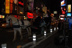 DSC_3479 DSC_3479