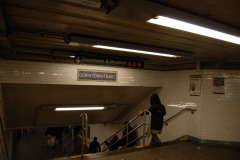 DSC_3497 DSC_3497
