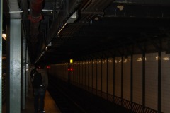 DSC_3499 DSC_3499