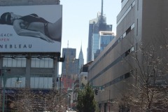DSC_3572 DSC_3572