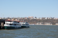 DSC_3597 DSC_3597