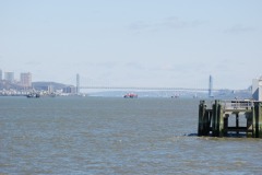DSC_3602 DSC_3602