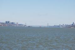 DSC_3606 DSC_3606