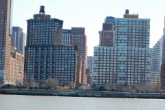DSC_3650 DSC_3650
