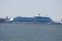DSC_3703 DSC_3703