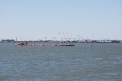 DSC_3731 DSC_3731