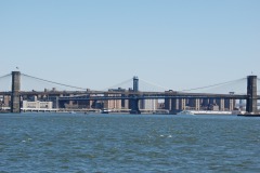 DSC_3771 DSC_3771
