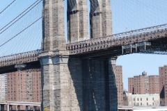 DSC_3786 DSC_3786