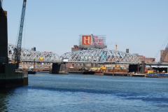 DSC_3918 DSC_3918