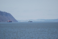 DSC_4010 DSC_4010