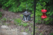 Busy birdfeeder!