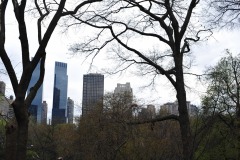 Central Park West through the trees...