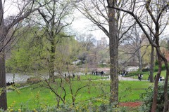 Early Spring in Central Park!