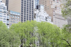 Idyllic Central Park