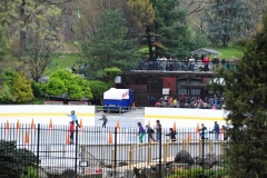 Lots of skaters on that rink!