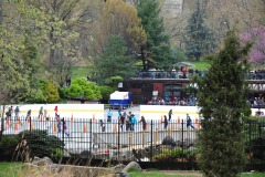 Lots of skaters on that rink!