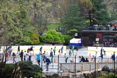 Lots of skaters on that rink!