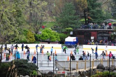Lots of skaters on that rink!