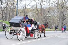 Nice and peaceful ride in the park away from the protest...