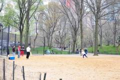 New Yorkers improvising baseball...