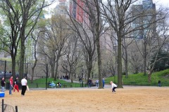 New Yorkers improvising baseball...