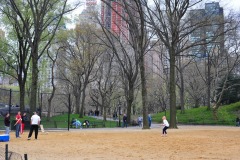 New Yorkers improvising baseball...