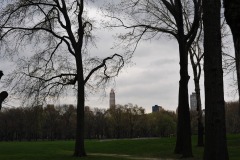 The sheep meadow...