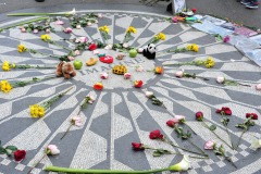 Strawberry Fields...