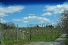 Visiting Applewood Orchards in Warwick, NY...