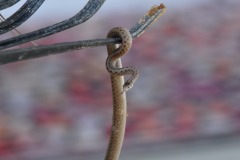 Tricky shot holding the rake and the camera...
