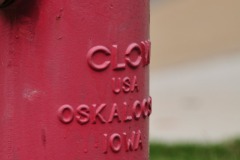 Checking out the fire hydrant...
