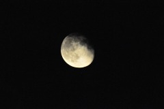 Playing with the new 300mm lens and teleconverter...