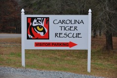 Carolina Tiger Rescue