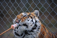 Hmmm...yummy!