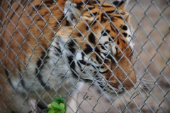 Got to scratch that itch!