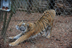 Time for a nice big stretch...