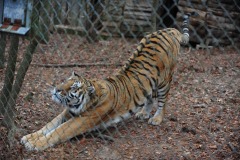 Time for a nice big stretch...