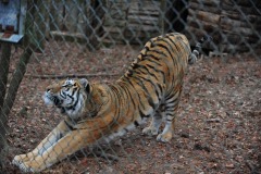 Time for a nice big stretch...