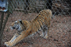 Time for a nice big stretch...