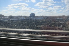 The most densely populated graveyard I've ever seen near Bay Parkway on the F line...