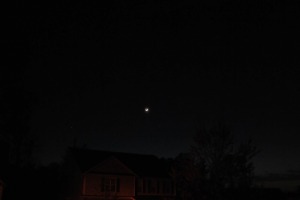 sunfox_20130412_001_moon