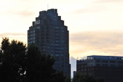 DSC_1382