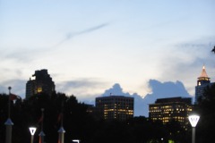 DSC_1411