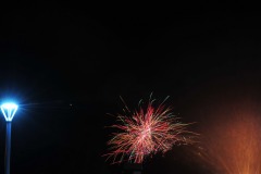 DSC_1484