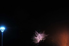 DSC_1501