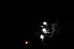 DSC_1546