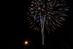 DSC_1554
